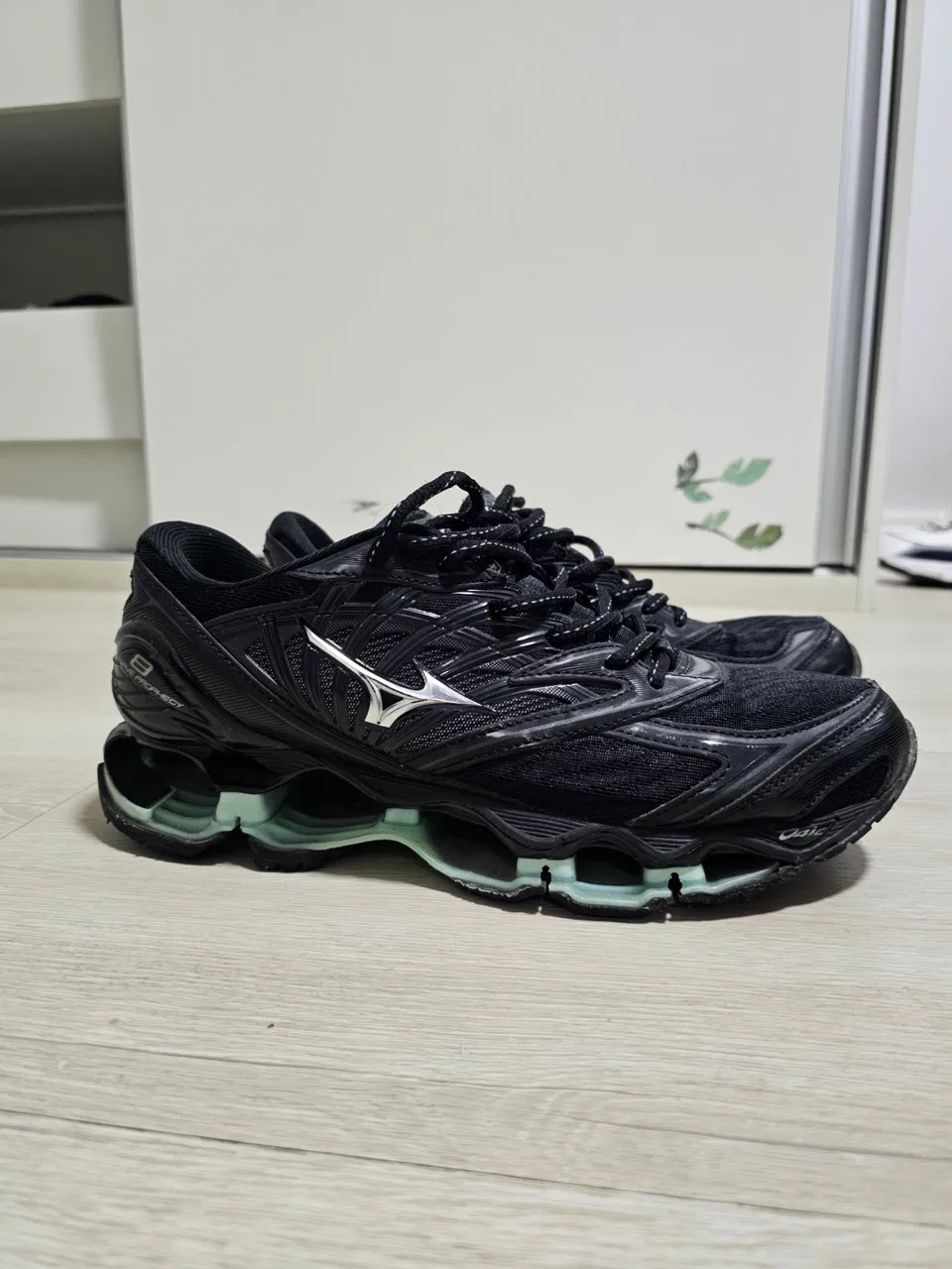 Mizuno Pro 8