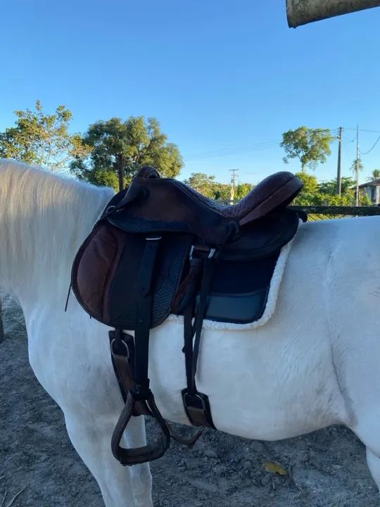 Manta em neoprene com proteção de rim  - Foto 3