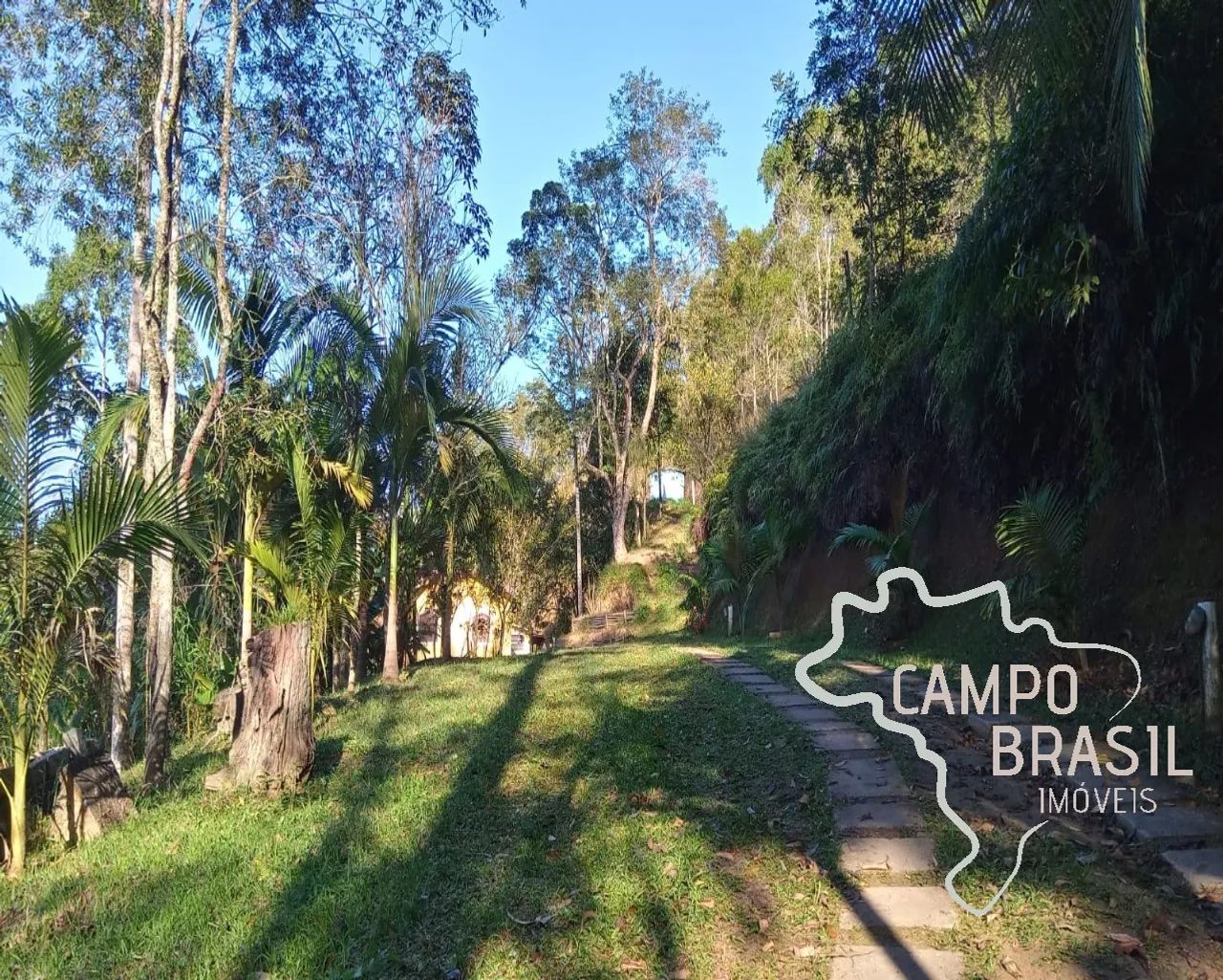 SÍTIO 4 ALQUEIRES EM SÃO JOSÉ DOS CAMPOS ! - Foto 4