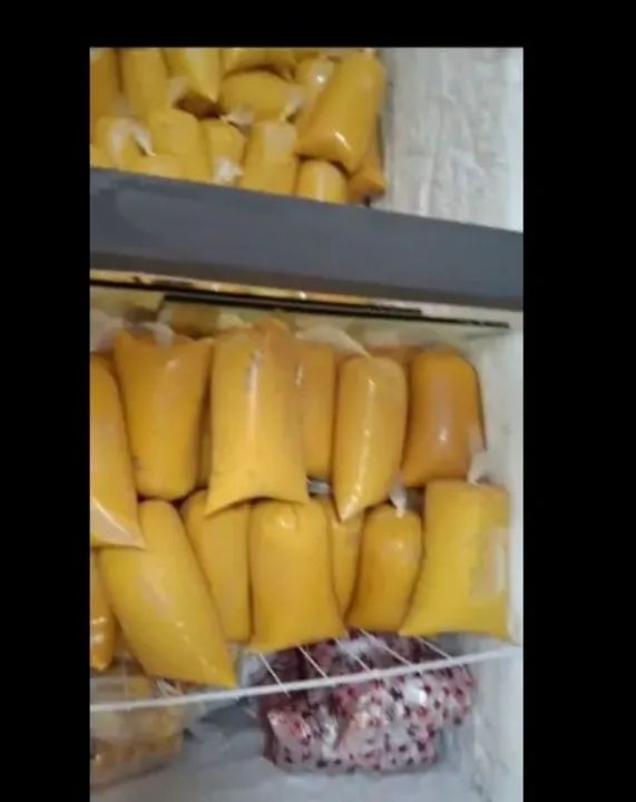 Polpa de fruta congelada - produção própria