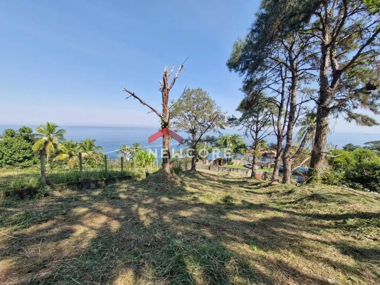 Lote em Avenida gov. Mário Covas junior - BORRIFOS - Ilhabela/SP - Foto 5