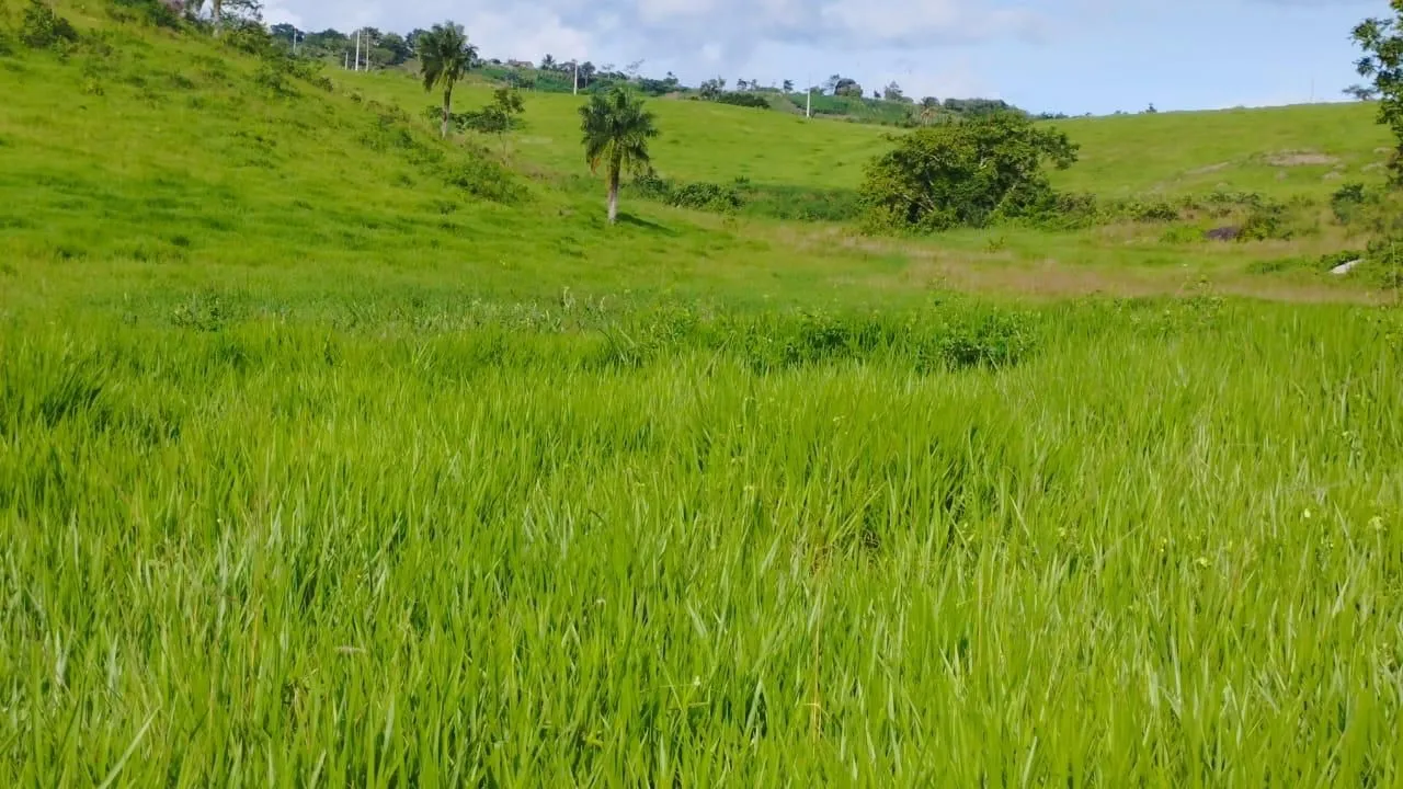 Vende-se Fazenda com 60 Hectares.
