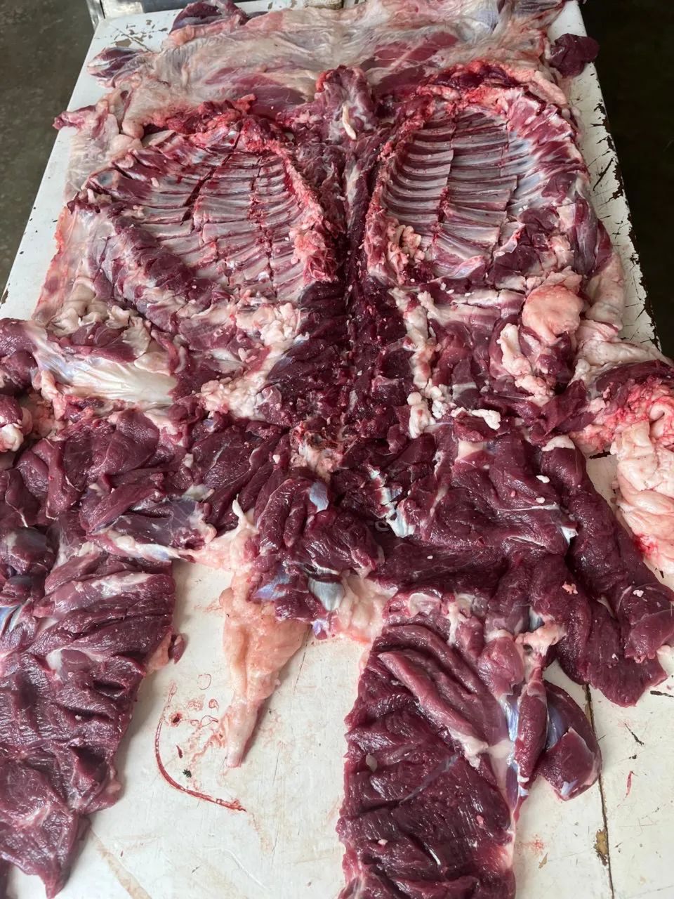 MANTA DE CARNEIRO - Foto 6