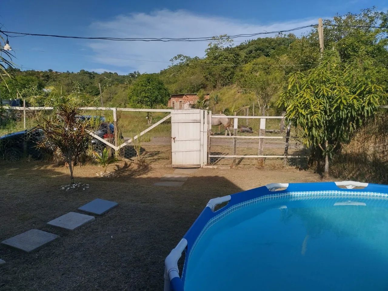 Foto - Simões Filho - 