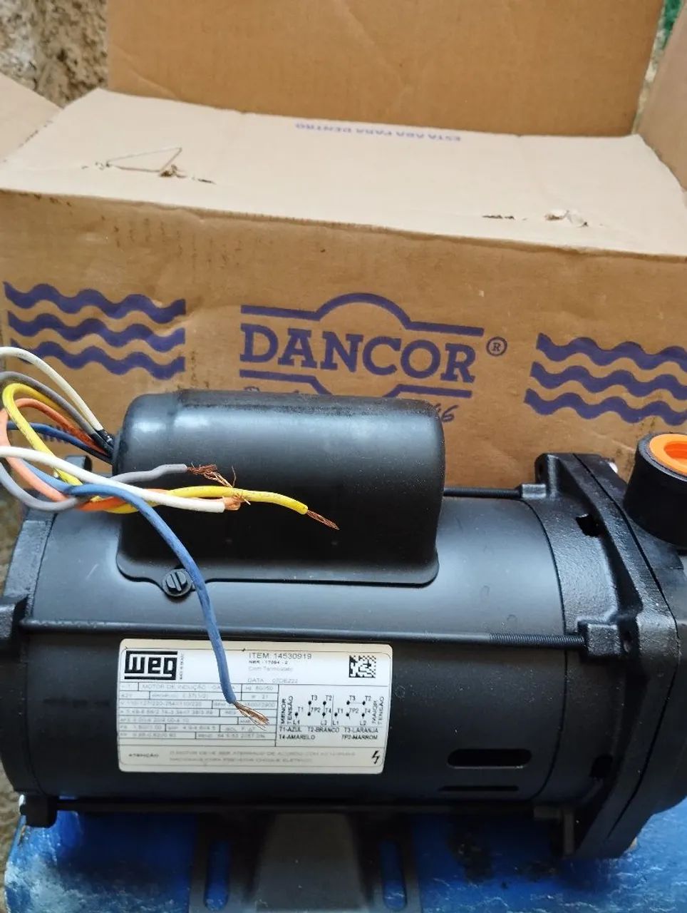 Bomba 1/3 cv dancor
