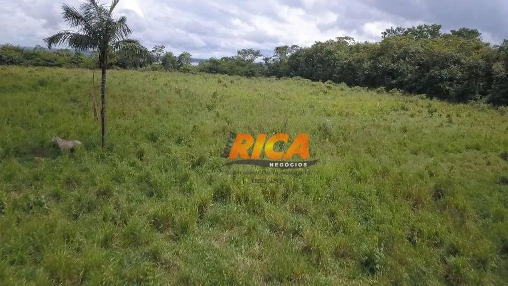 Fazenda à venda, com 100 hectares na área Rural de Porto Velho/RO - Foto 3