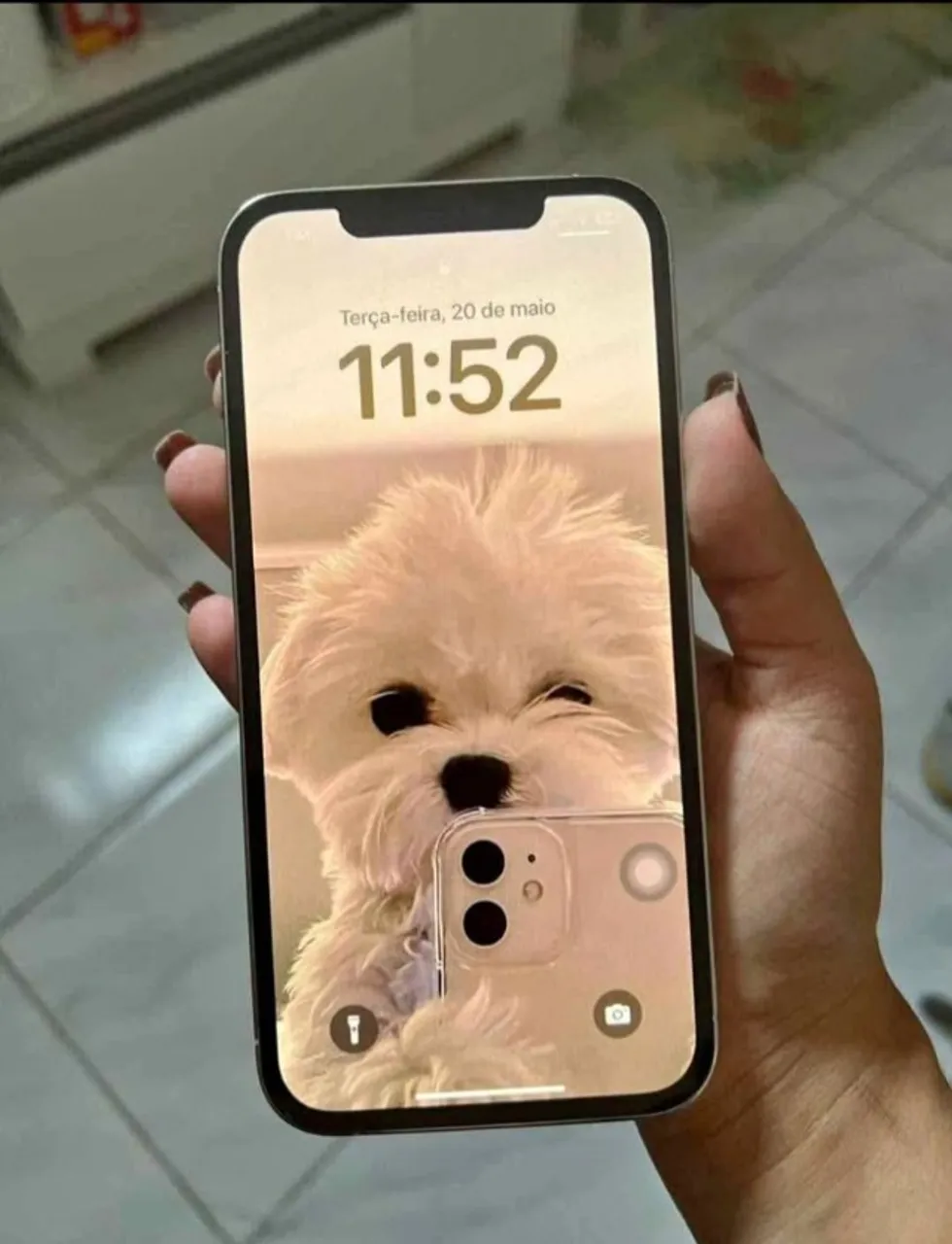 iPhone 12 pro Max dourado 256 gigas