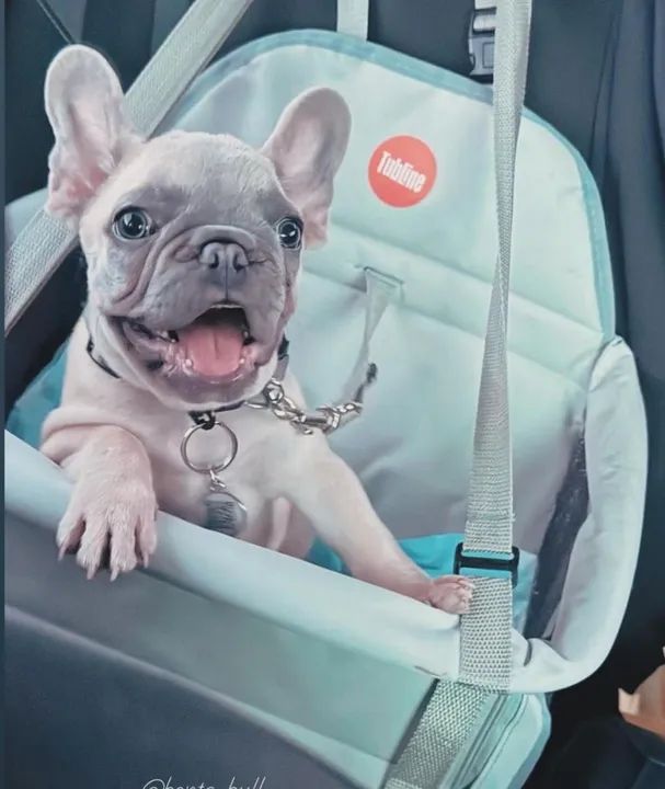 Assento PET transpet Tubline  - Foto 3