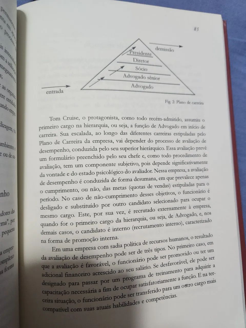 Livro Creencias e Valores em Nossas Organizações - Foto 2