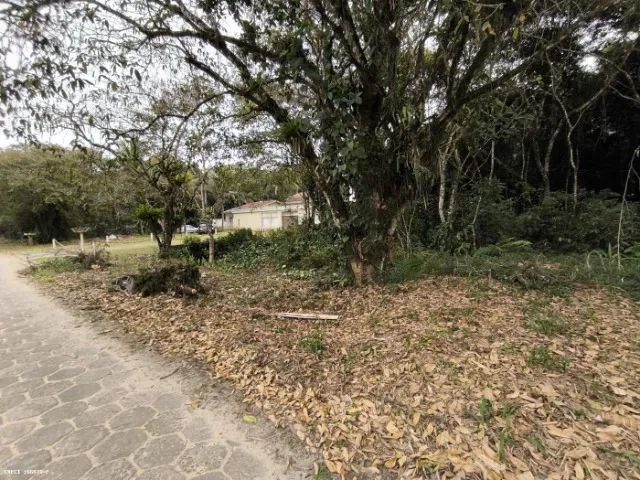 Terreno 500m² no Guarau - Peruíbe - já com licenciamento Ambiental