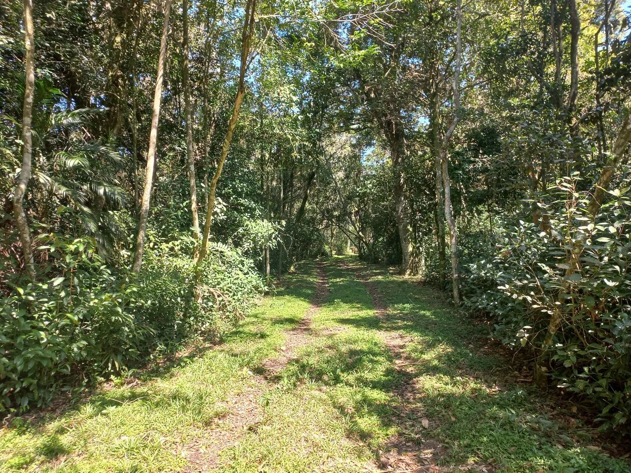 Propriedade exclusiva na Lagoa das Malvas em Maquiné - Foto 2