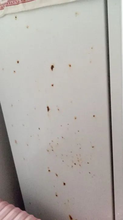 Geladeira eletrolux - Foto 2