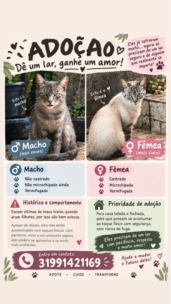 Gatinhos
