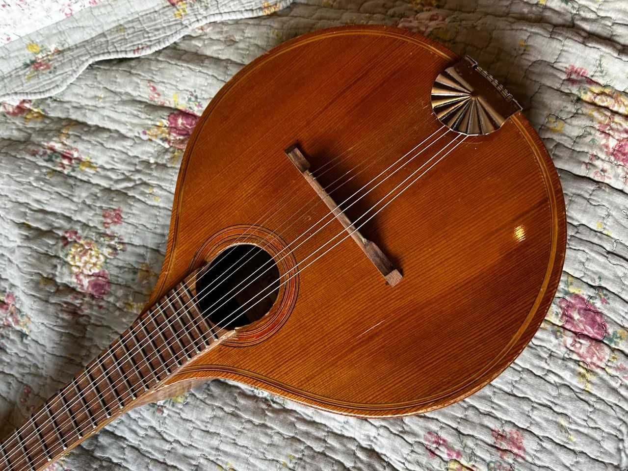 Bandolin Giannini raridade 