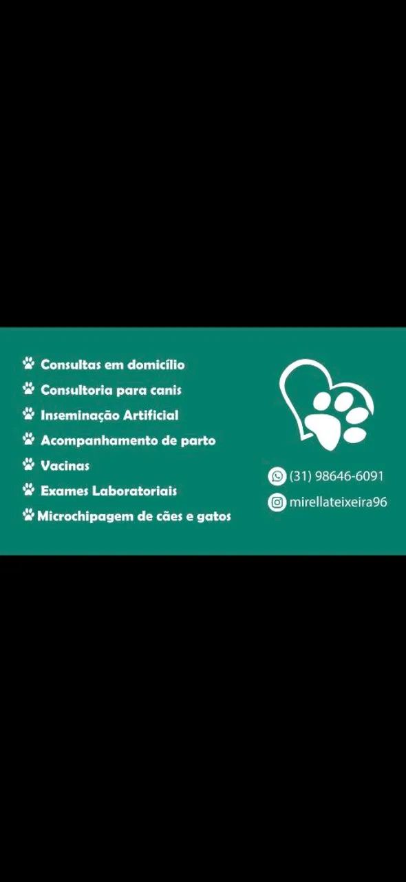 Atendimento Veterinário em Domicílio  - Foto 3