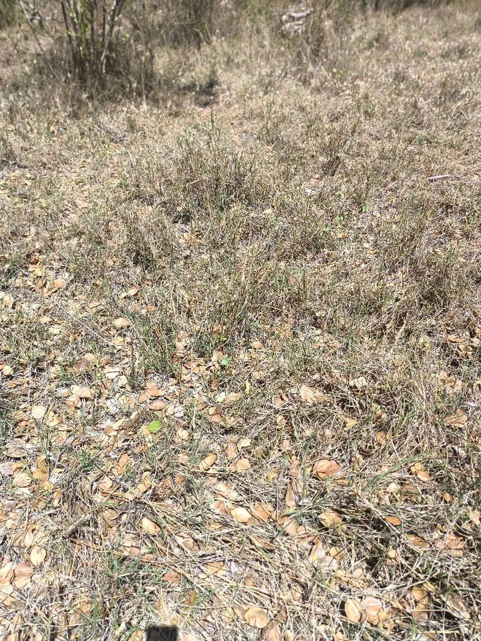 FAZENDA! - Foto 2