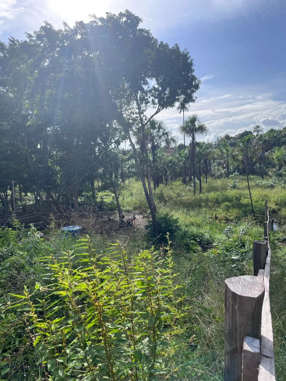Vendo terreno na norte sul  - Foto 3
