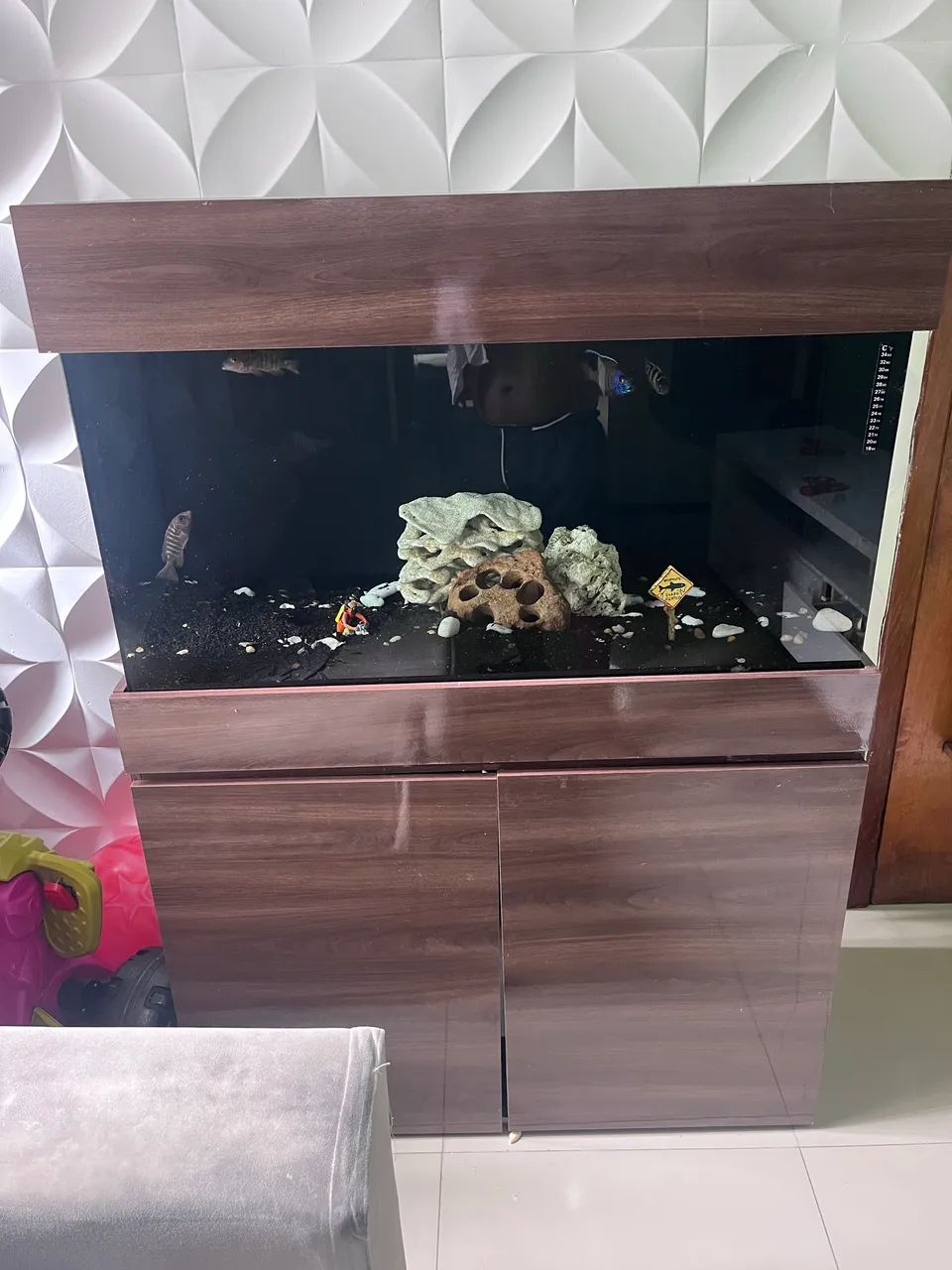 aquário 200 L completo com móvel?  - Foto 4