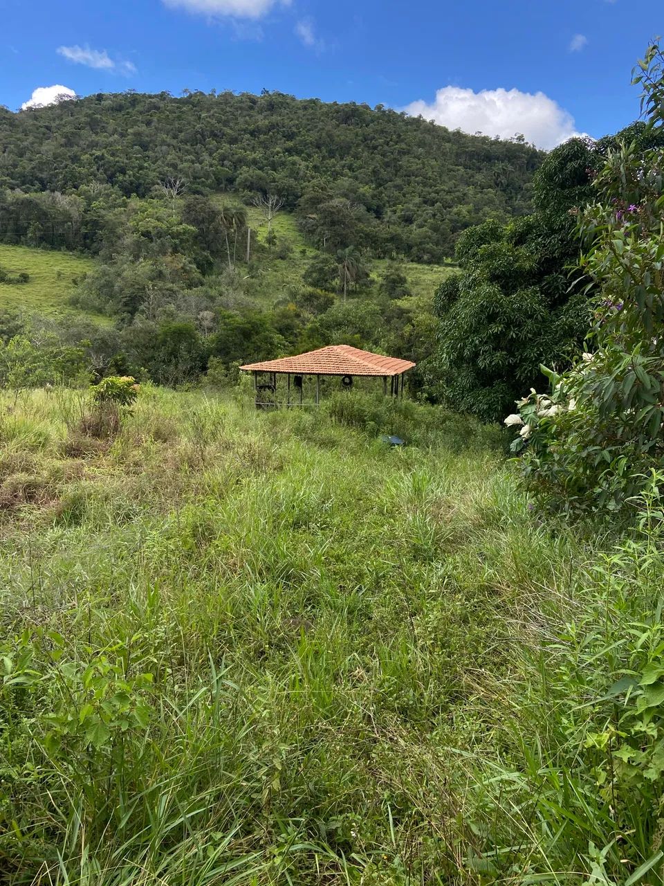 Um lugar para contemplar a natureza  - Foto 5