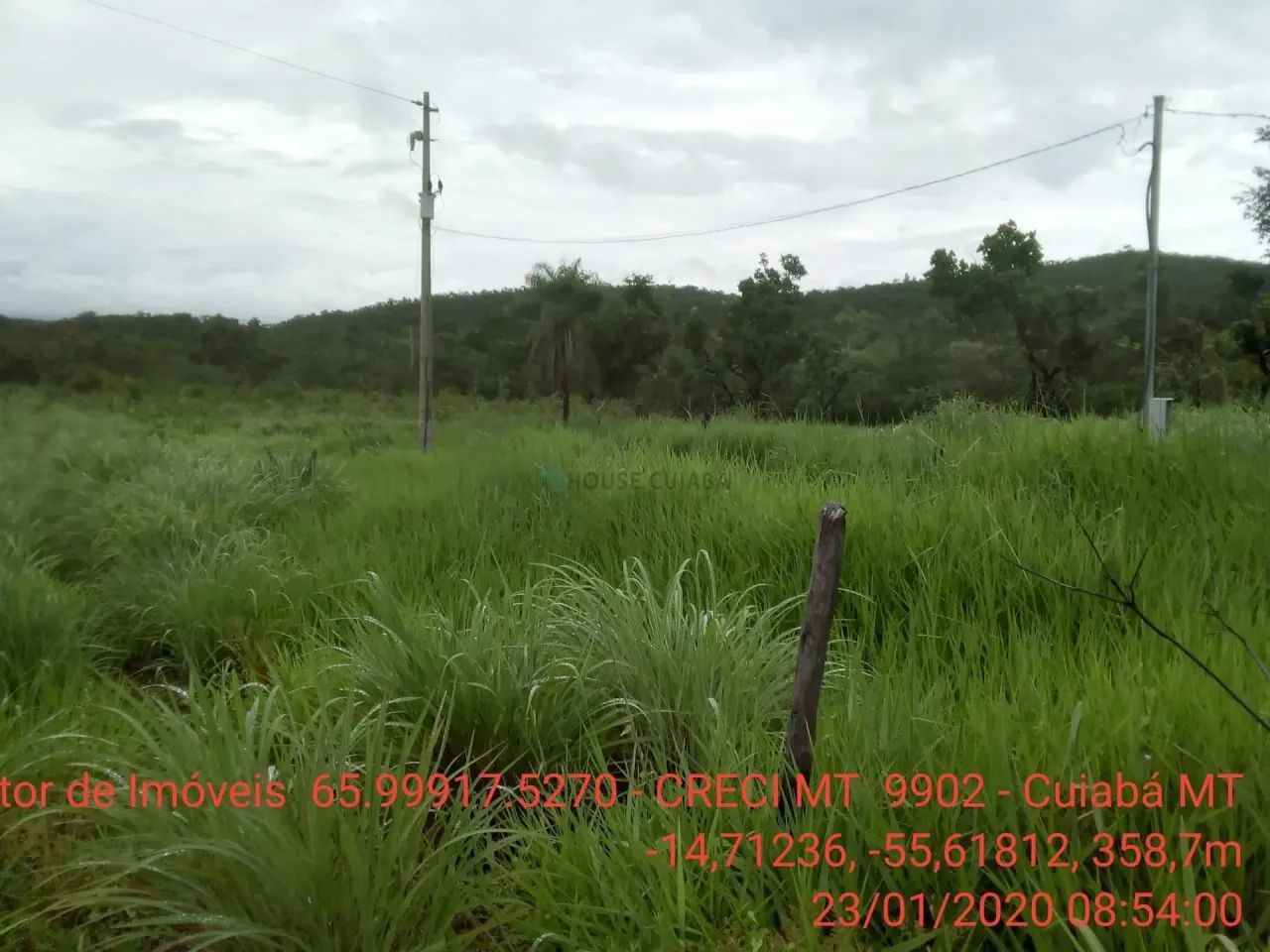 sítio de 71 hectares 14 km da cidade do Paraíso do manso - Foto 5