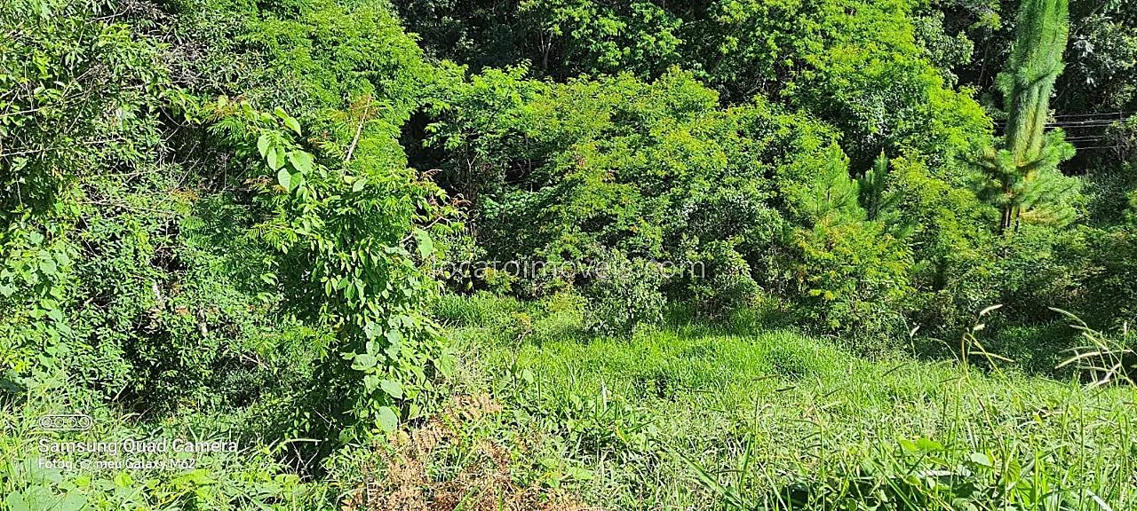 TERRENO NO CONDOMÍNIO PARQUE DO IMPÉRIO - Foto 5