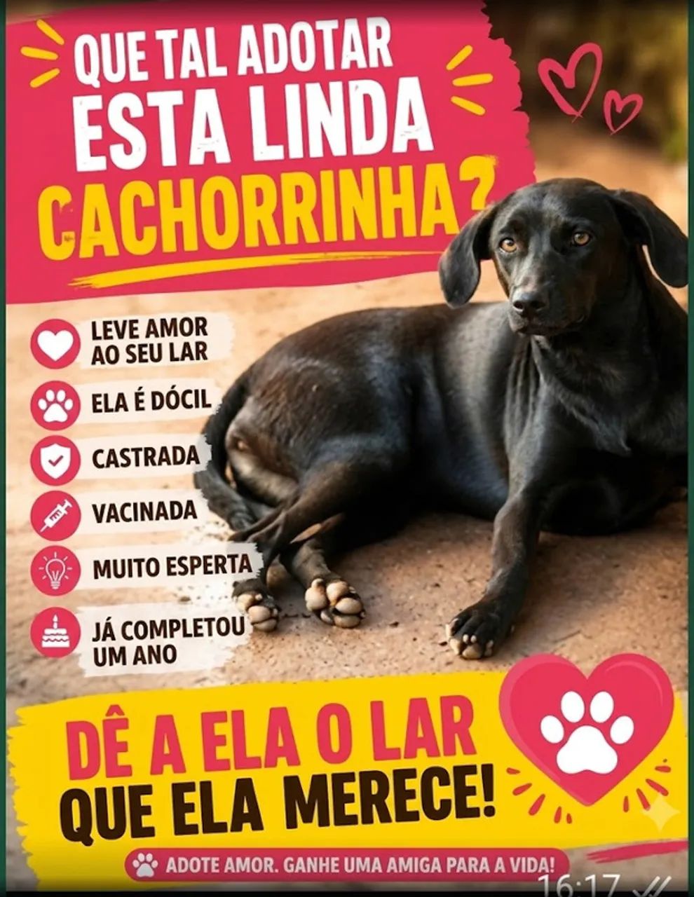 animais