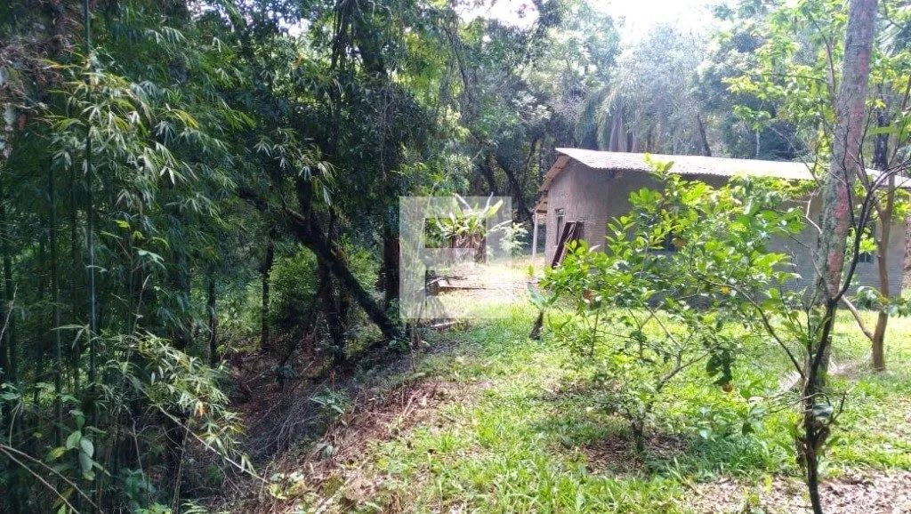 Terreno em Comunidade de Santa Maria Goretti - Celso Ramos - Foto 5