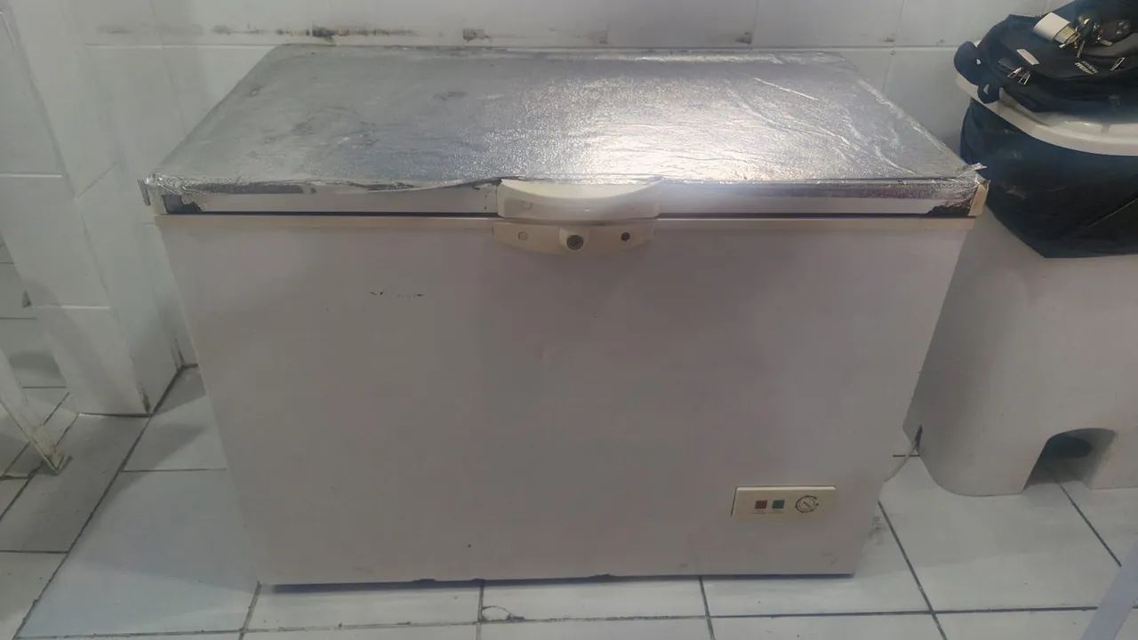 Frezzer horizontal 300l