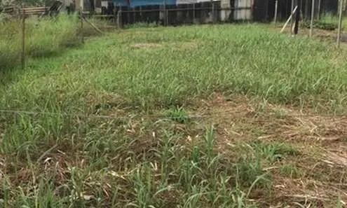 Terreno 