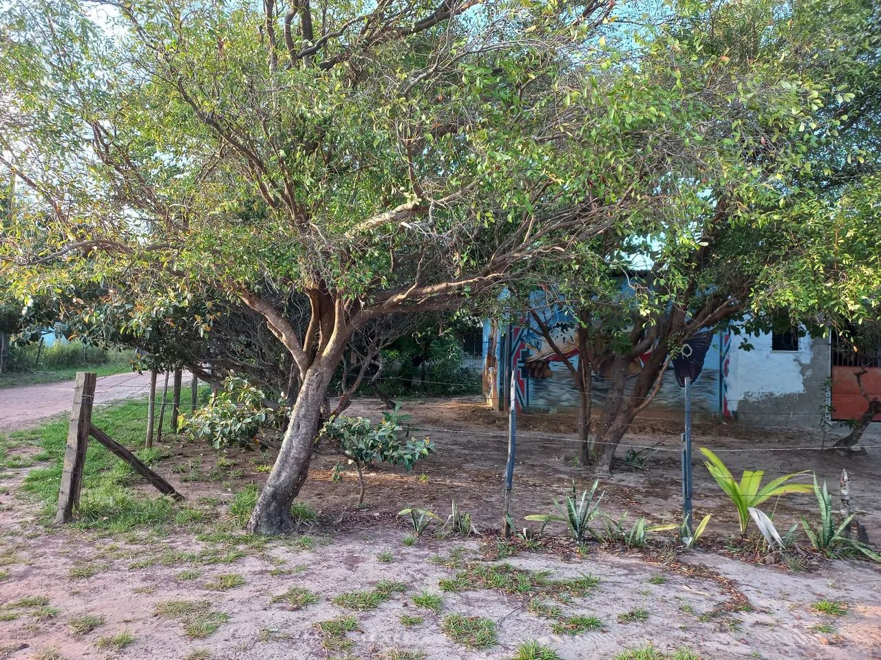 Casa em Água boa no Marajó 