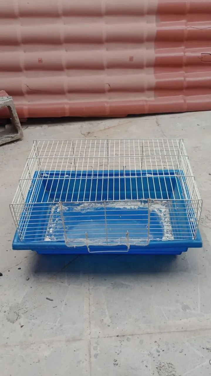 Gaiola para porquinho ou hamister 