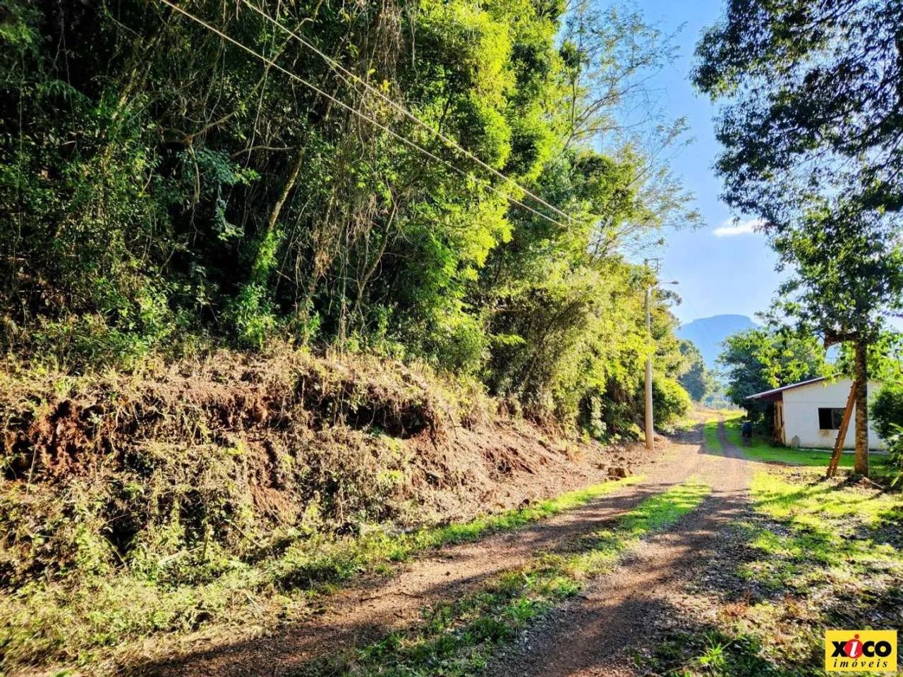 Sítio / Chácara para Venda em Nova Petrópolis, Linha Riachuelo
