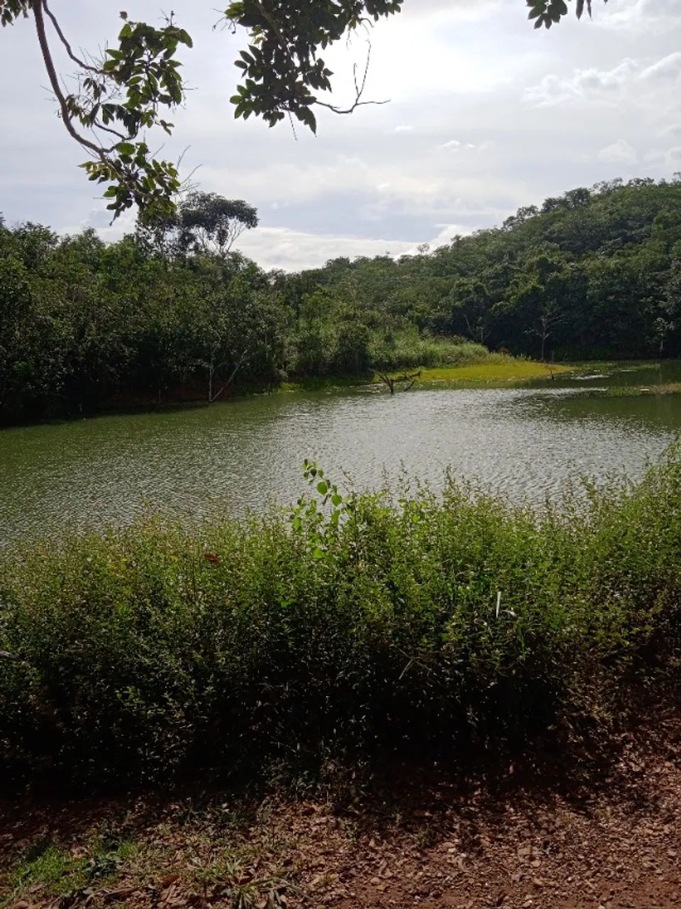 Vendo chácara em luziania - Foto 4