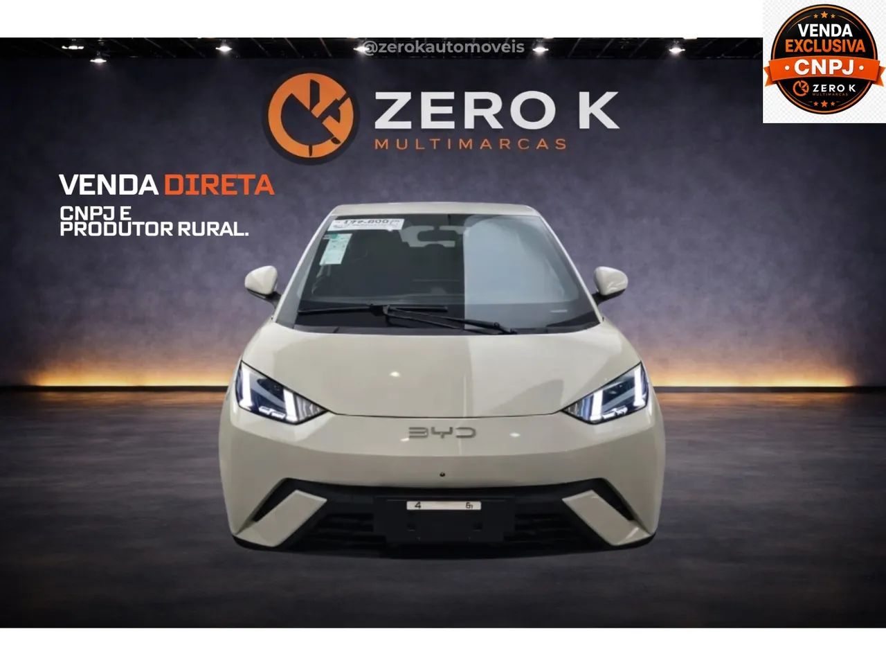 BYD Dolphin Mini (Elétrico) 2027
