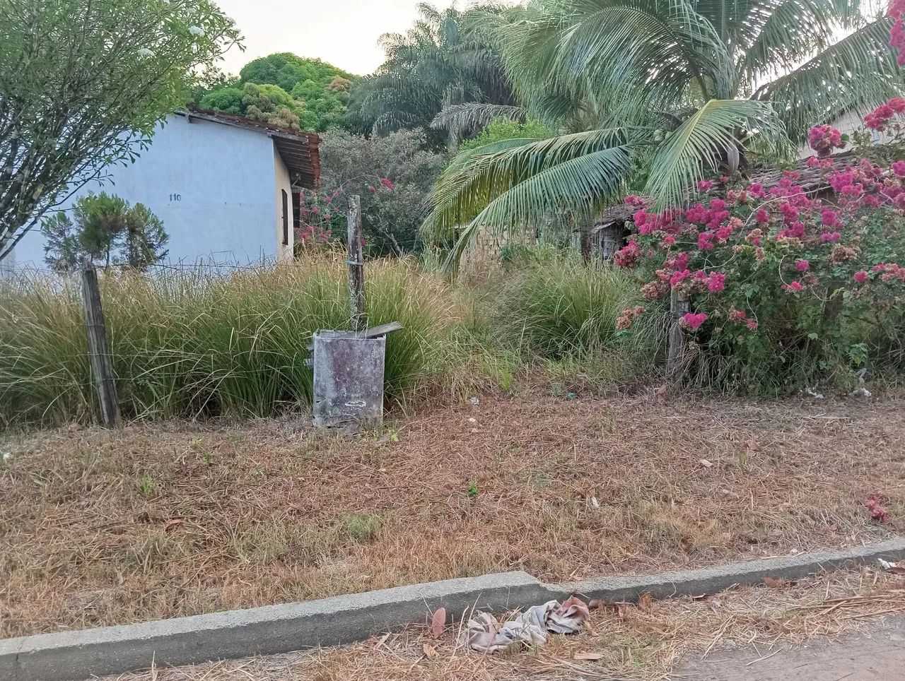 Vende-se uma casa com terreno amplo e frutífero  - Foto 3