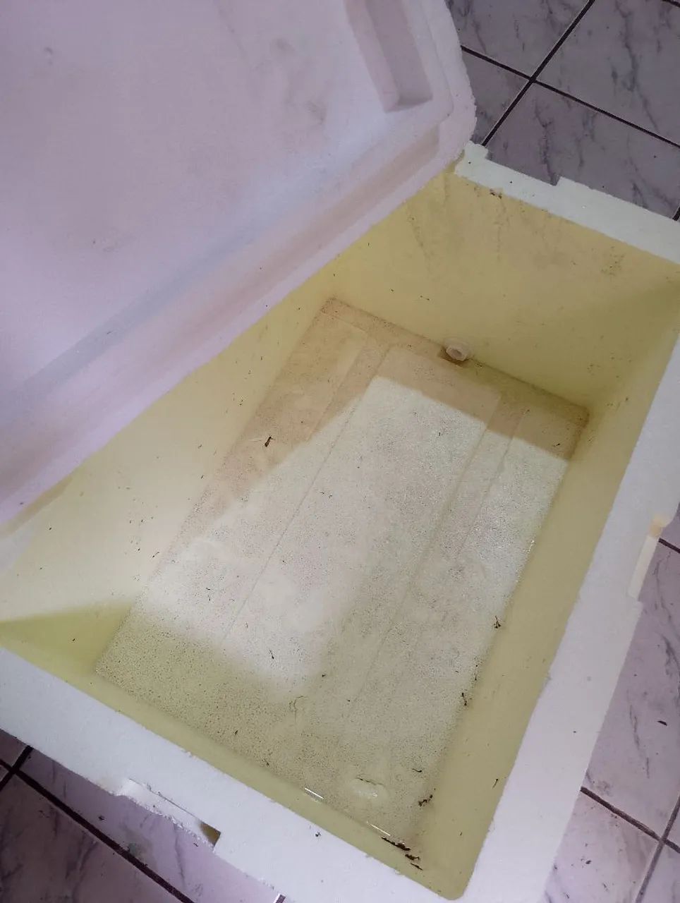 caixa de isopor, semi nova, em boas condições , grande,   80 Reais 