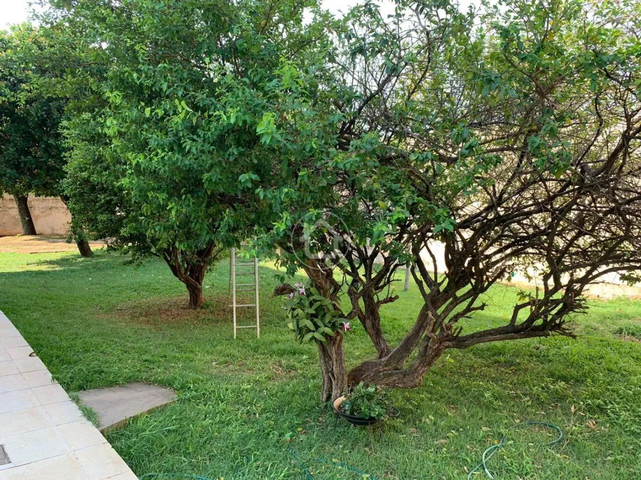 TERRENO ANTÔNIO VENDAS - Foto 3