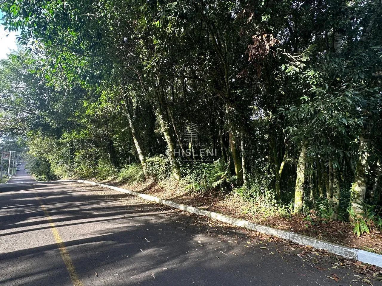 IPÊ AMARELO