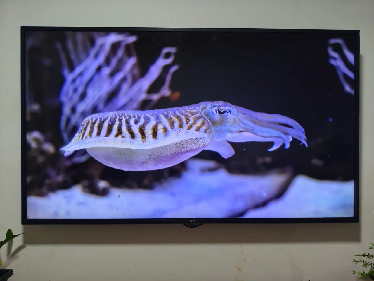 TV SMART LG 4K 60 POLEGADAS  - Foto 4