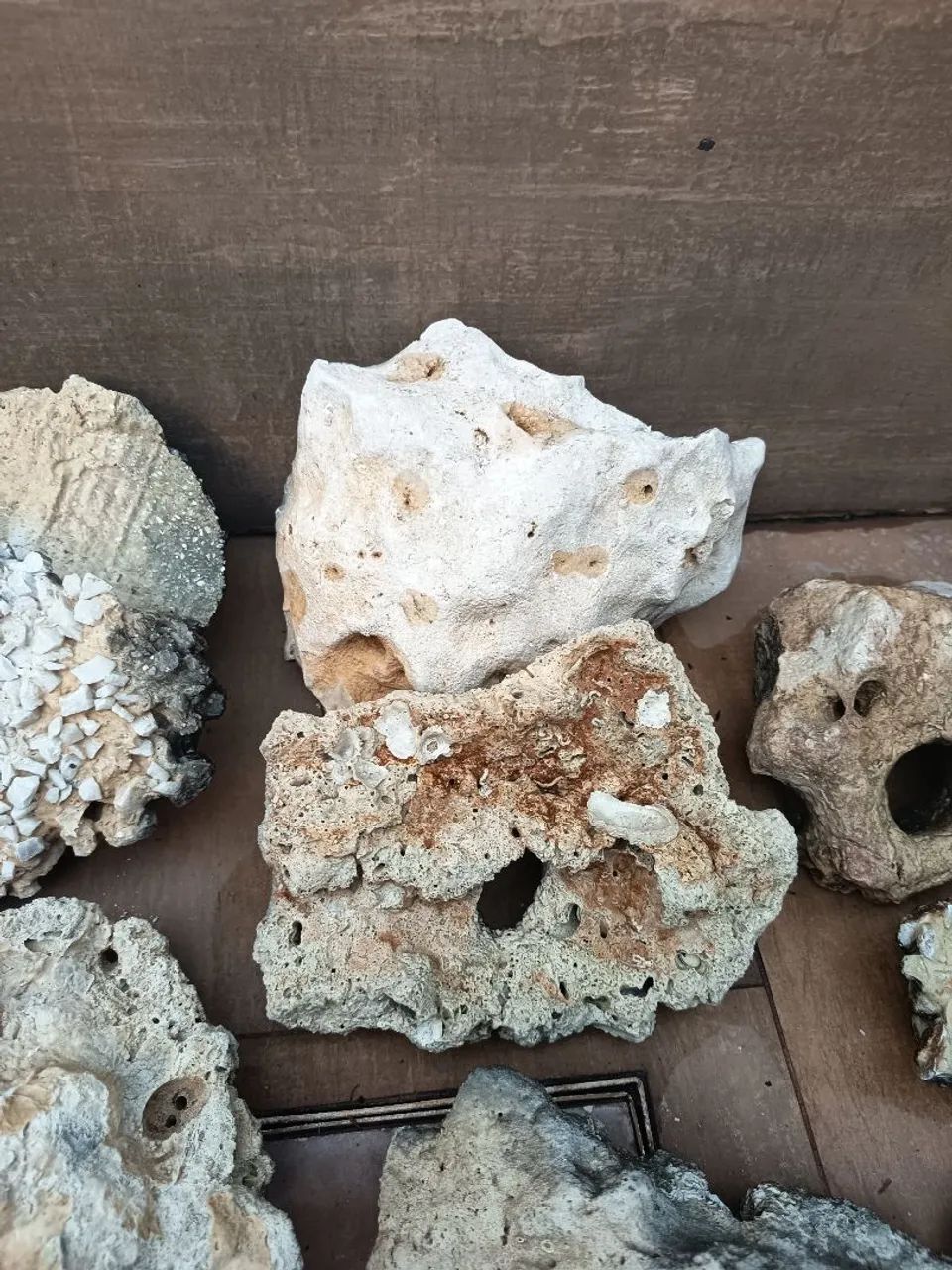 Rochas Sansibar aquário  - Foto 4