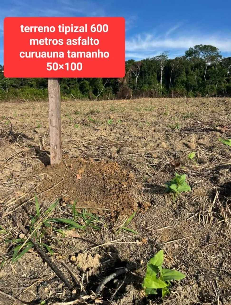 Terreno 
