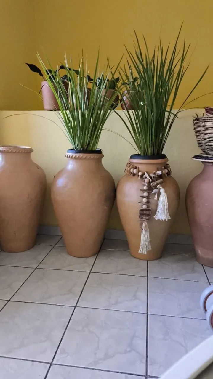 Jarras de Tracunhaém  - Foto 2
