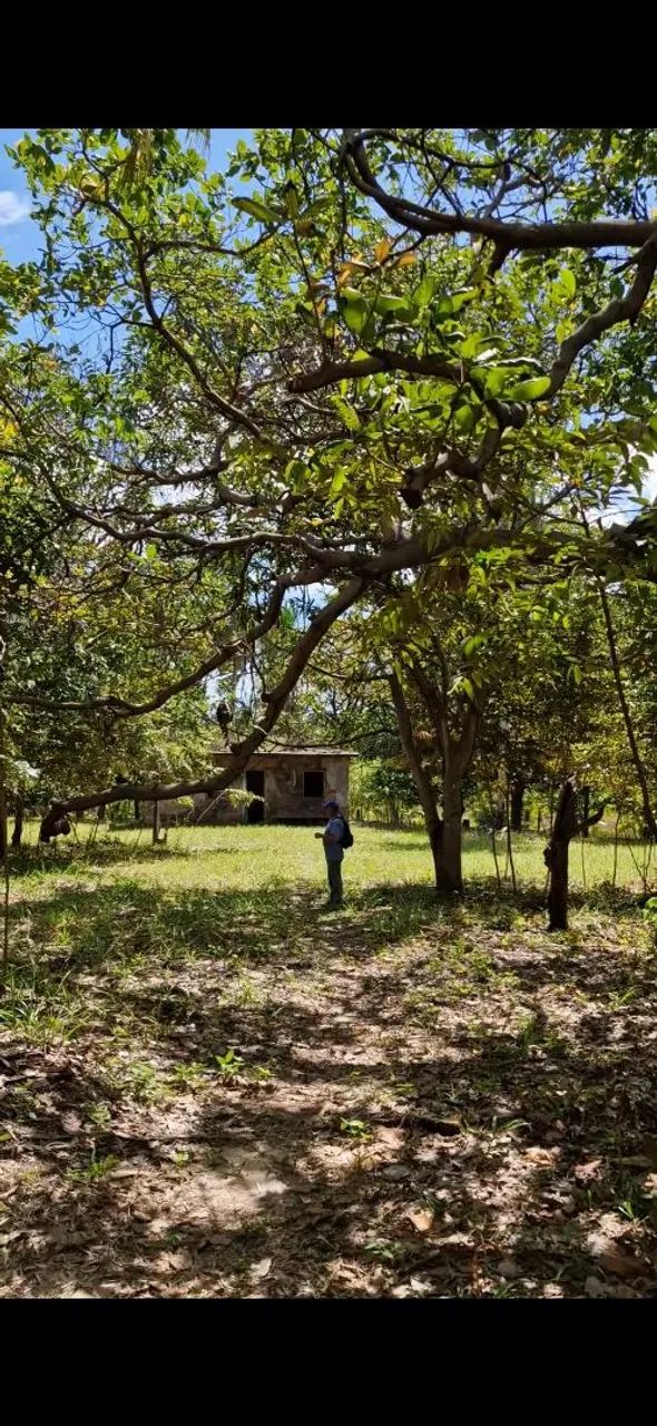 Sitio macajituba av principal - Foto 3