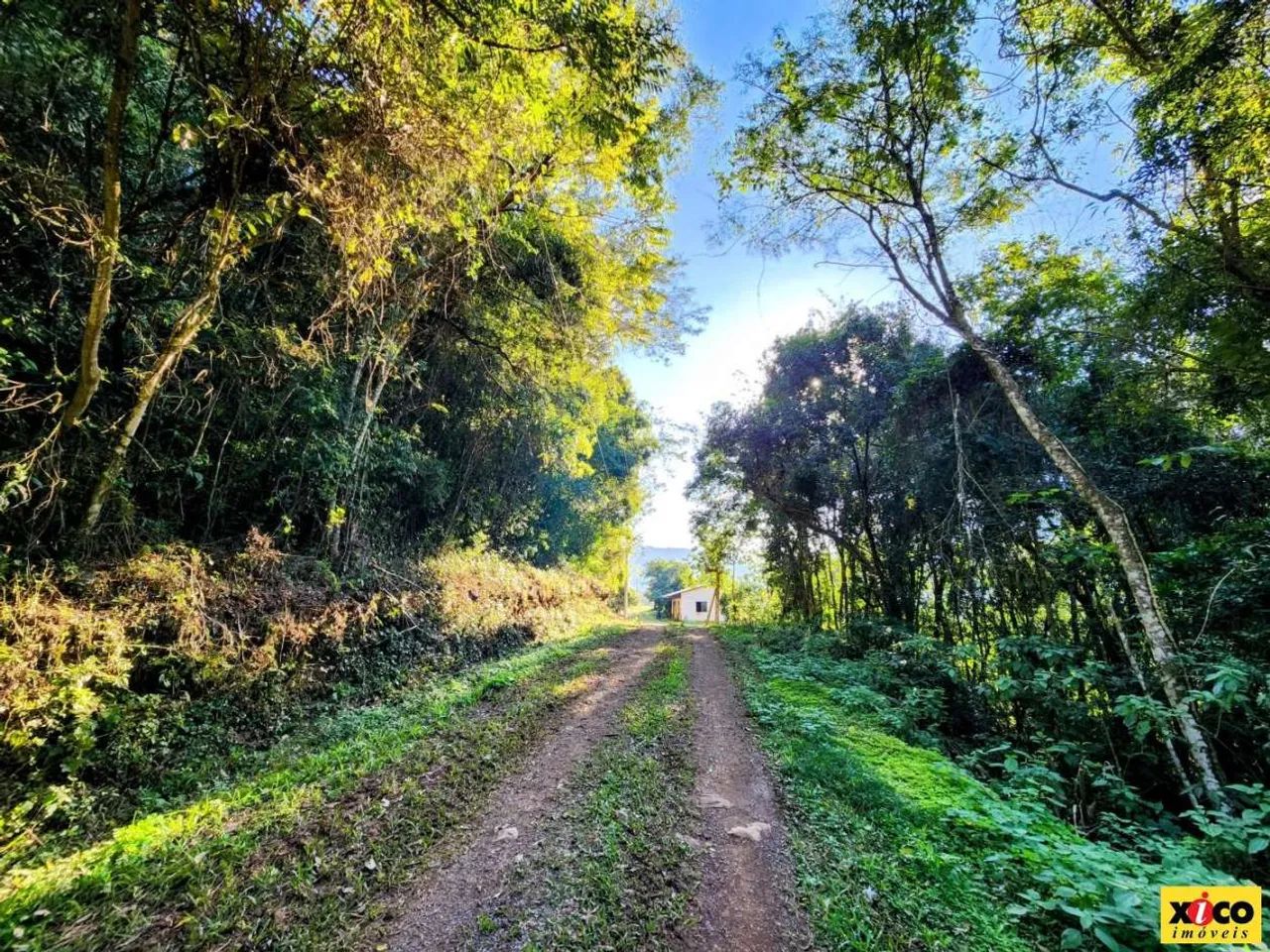 Sítio / Chácara para Venda em Nova Petrópolis, Linha Riachuelo - Foto 4