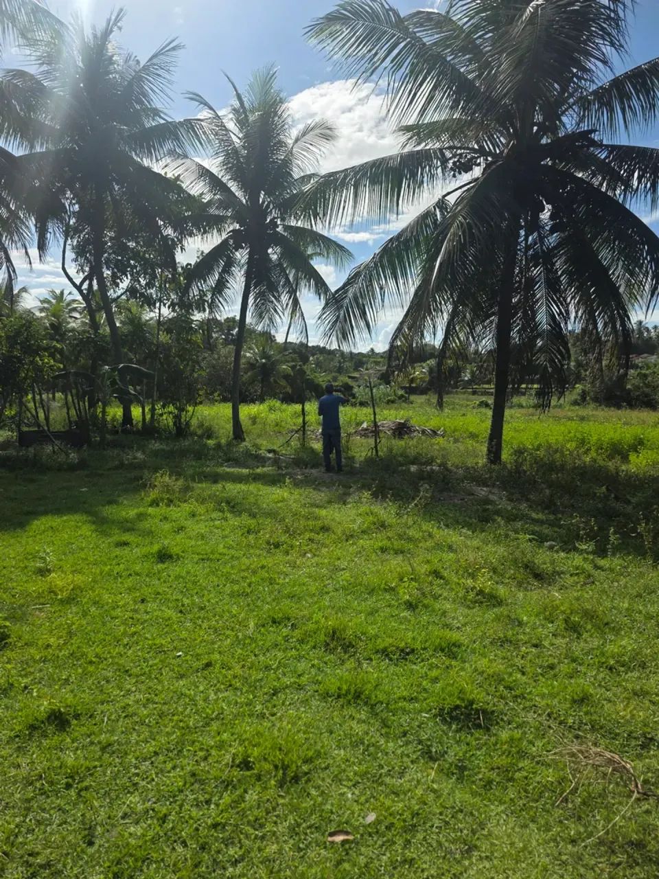 granja com 1.5 hectares com 2 casas com rio perene  com excelente localização - Foto 3