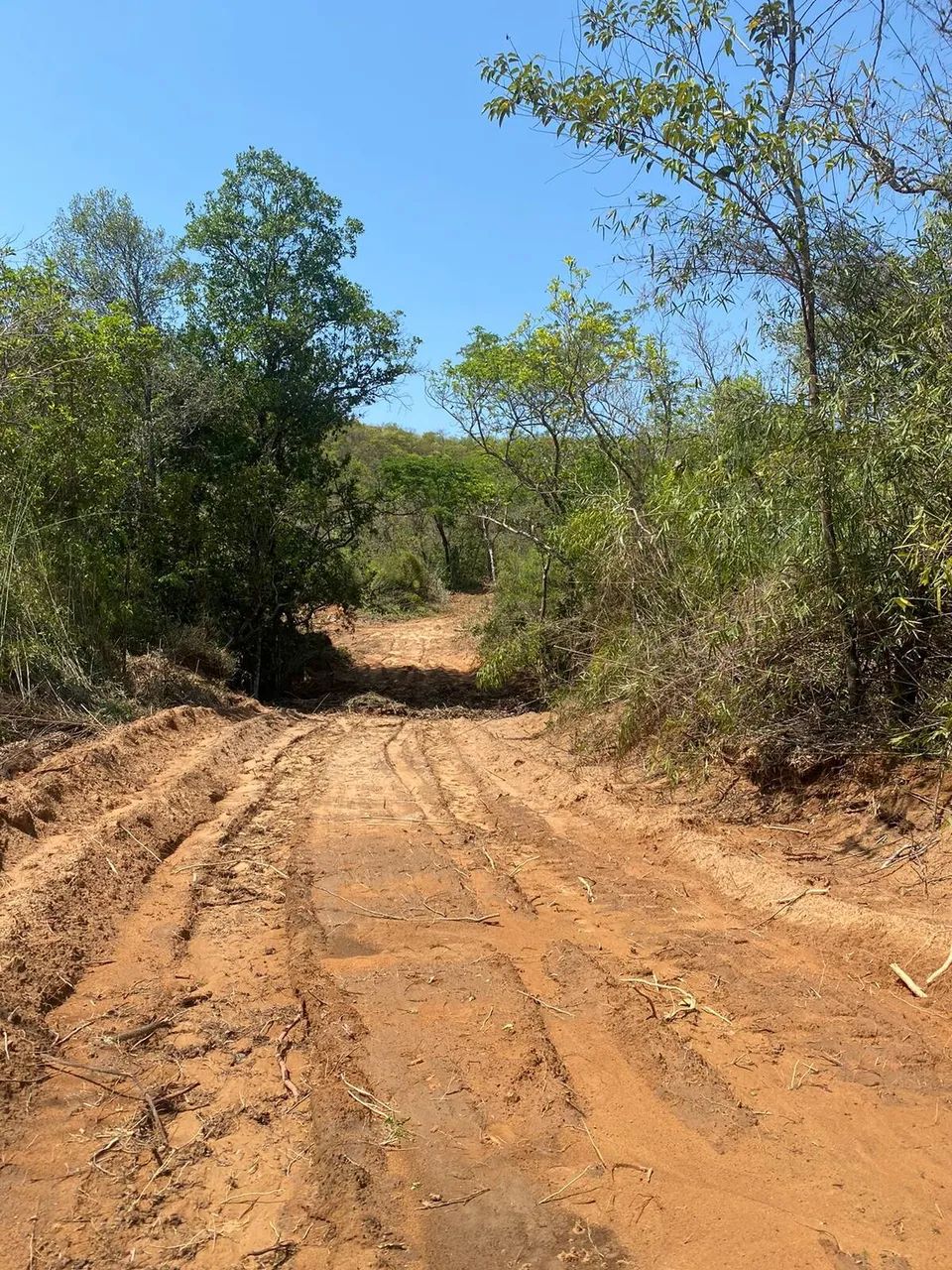 Fazenda dupla aptidão em Jaciara Mato Grosso - Foto 2