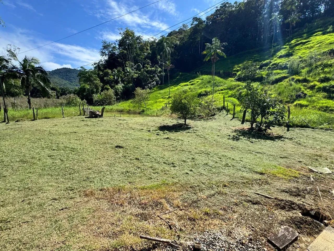 Sitio com bela casa, escritura, lagoa e nascente! - Foto 4