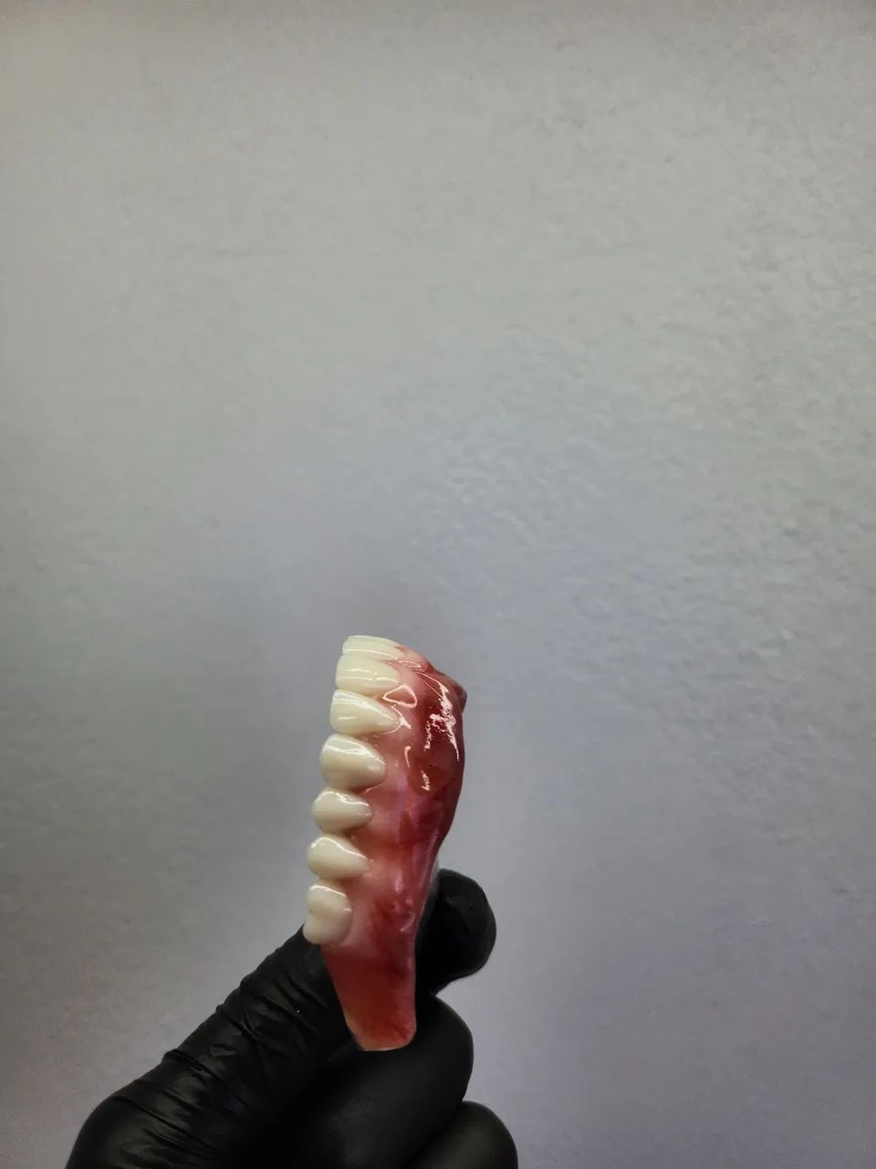 Concerto de dentadura ! - Foto 2