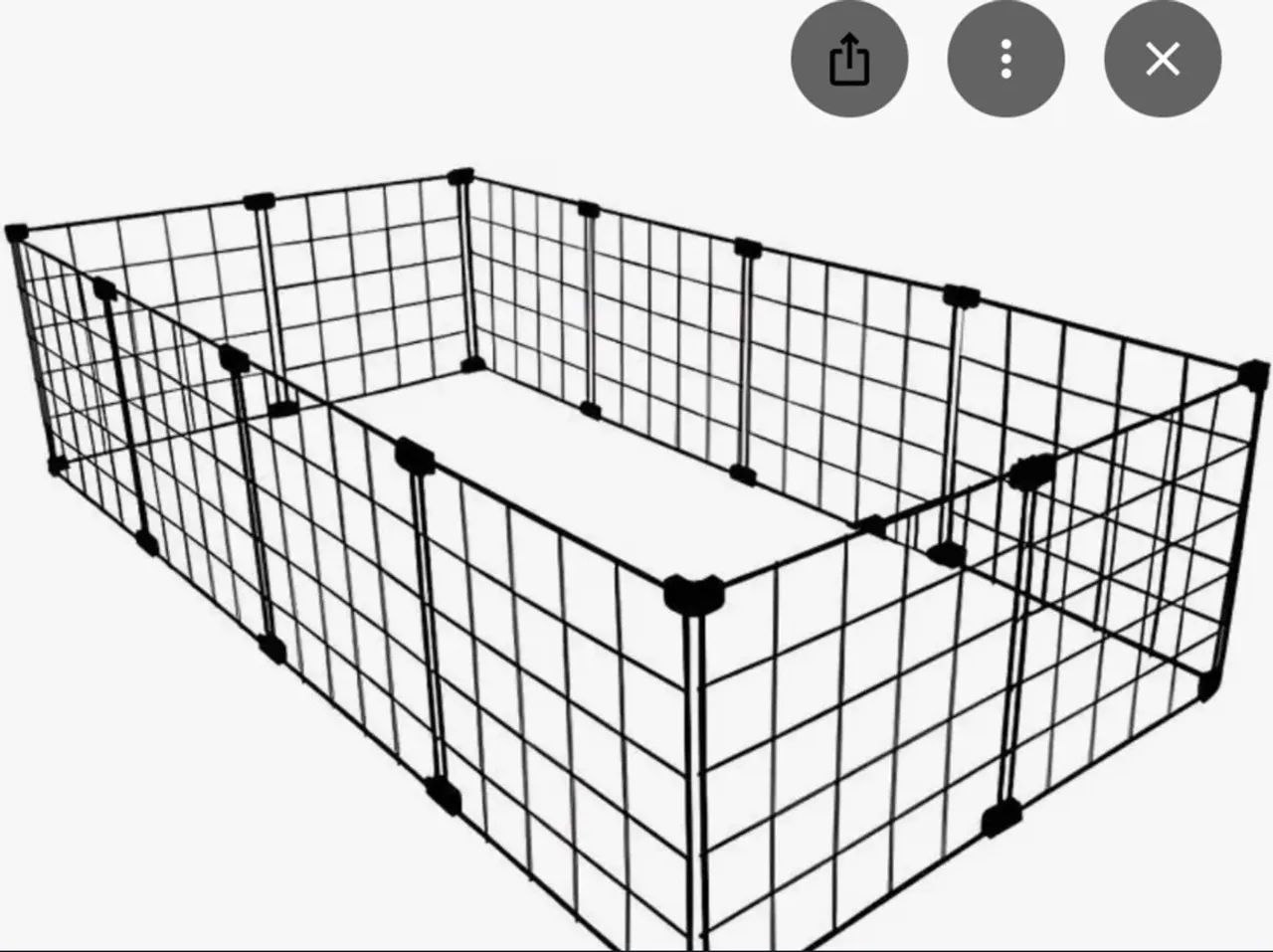 Cercadinho pra porquinhos da índia 