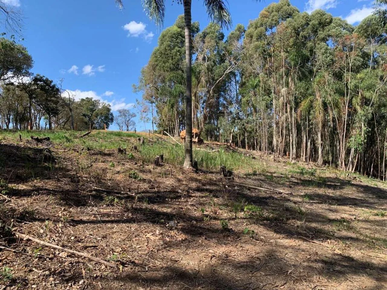 Terreno para Venda em Toledo - Foto 3